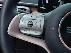 BYD Seagull 2025 305km Freedom Edition - ფოტო 20