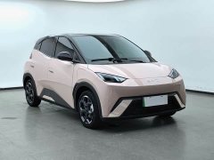 BYD Seagull 2025 305km Freedom Edition - ფოტო 3