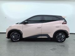 BYD Seagull 2025 305km Freedom Edition - ფოტო 7