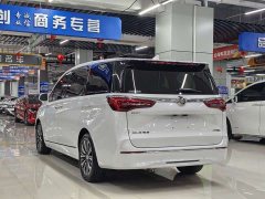 Buick GL8 ES Lu Zun 653T Premier - ფოტო 9