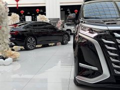 Denza BYD Denza D9 DM-i Smart Drive 1020 AWD Premium - ფოტო 5