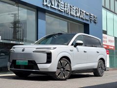 Denza BYD Denza N8L Flagship - ფოტო 1