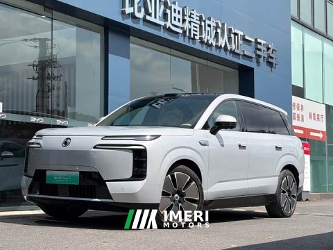 2025 Denza BYD Denza N8L Flagship - ავტომობილი ჩინეთიდან