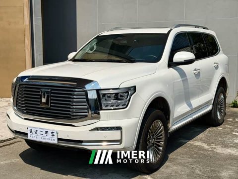 2022 Tank 500 3.0T Business Edition Summit 5-Seater - ავტომობილი ჩინეთიდან