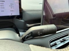 Geely Galaxy A7 EM-i 150km Explorer Edition - ფოტო 18