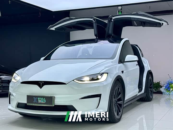 Tesla Model X Dual Motor All-Wheel Drive