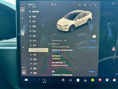 Tesla Model X Dual Motor All-Wheel Drive - ფოტო 14