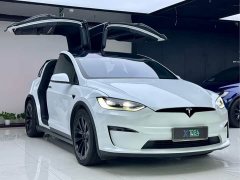Tesla Model X Dual Motor All-Wheel Drive - ფოტო 3