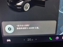 Tesla Model 3 Standard Range RWD Upgrade 3D6 - ფოტო 11