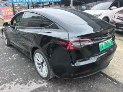 Tesla Model 3 Standard Range RWD Upgrade 3D6 - ფოტო 7