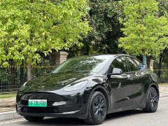 Tesla Model Y Rear-Wheel Drive - ფოტო 1