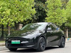 Tesla Model Y Rear-Wheel Drive - ფოტო 10