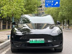 Tesla Model Y Rear-Wheel Drive - ფოტო 2