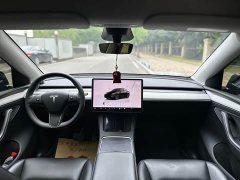 Tesla Model Y Rear-Wheel Drive - ფოტო 7
