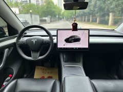 Tesla Model Y Rear-Wheel Drive - ფოტო 8
