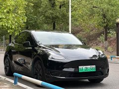 Tesla Model Y Rear-Wheel Drive - ფოტო 9