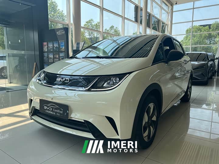BYD Dolphin 2025 420km Vitality Edition - ავტომობილი ჩინეთიდან
