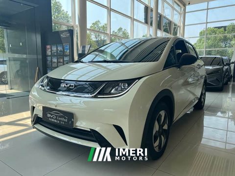 2026 BYD Dolphin 2025 420km Vitality Edition - ავტომობილი ჩინეთიდან
