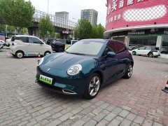 ORA Good Cat 400km Standard Range Luxury Lithium Iron Phosphate - ფოტო 1