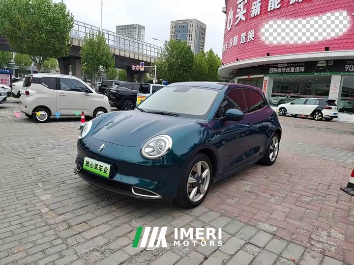 ORA Good Cat 400km Standard Range Luxury Lithium Iron Phosphate
