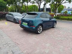 ORA Good Cat 400km Standard Range Luxury Lithium Iron Phosphate - ფოტო 5