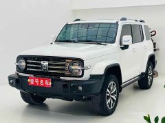 Tank 300 2023 City Edition 2.0T Stylish - ფოტო 1
