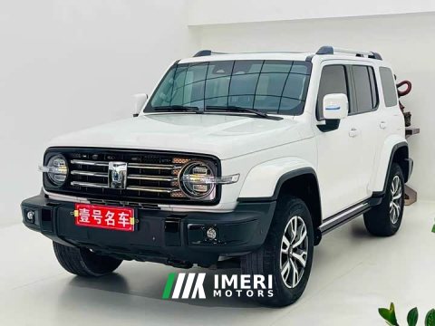 2022 Tank 300 2023 City Edition 2.0T Stylish - ავტომობილი ჩინეთიდან