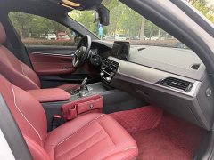 BMW 5 Series Facelift 530Li Premier M Sport Package - ფოტო 18