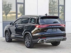 Chery Tiggo 8 PRO 2024 Champion Edition 290T FWD Peak Version 5-Seater - ფოტო 9