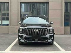 GAC Aion GS8 2025 Pioneer Series 2.0T GDI FWD Luxury 5-Seater - ფოტო 2