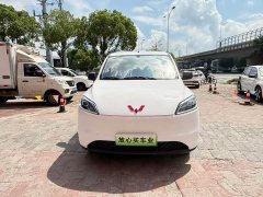 Wuling Hongguang New Energy 2024 Pure Electric 300KM Standard - ფოტო 2