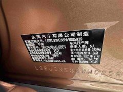 Li Auto ARIYA 2022 Two-Wheel Drive Long Range Top Configuration - ფოტო 16