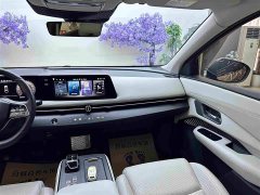 Li Auto ARIYA 2022 Two-Wheel Drive Long Range Top Configuration - ფოტო 14