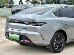 BYD Destroyer 05 2023 Champion Edition DM-i 120KM Luxury - ფოტო 9