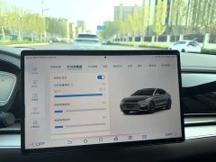 BYD Han DM-i Champion Edition 121KM Premium - ფოტო 6