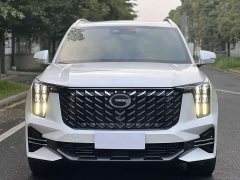 GAC Aion GS8 Pioneer Series 2.0T GDI AWD Luxury 5-Seater - ფოტო 2