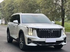 GAC Aion GS8 Pioneer Series 2.0T GDI AWD Luxury 5-Seater - ფოტო 4