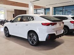 BMW X2 (Imported) sDrive25i M Sport Package - ფოტო 5