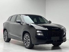 Jetour Jietu Dasheng 1.6T DCT King Plus - ფოტო 3