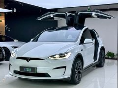 Tesla Model X Dual Motor All-Wheel Drive - ფოტო 1