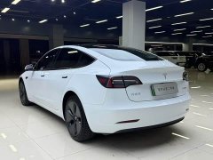 Tesla Model 3 Facelift Standard Range RWD Upgrade 3D1 - ფოტო 3