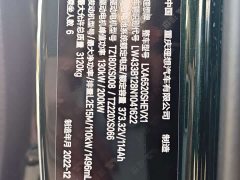 Li Auto L9 Max - ფოტო 17