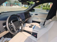 Li Auto L9 Max - ფოტო 8