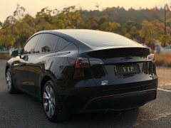 Tesla Model Y Rear-Wheel Drive - ფოტო 10