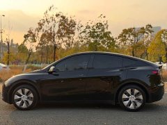 Tesla Model Y Rear-Wheel Drive - ფოტო 11