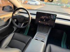 Tesla Model Y Rear-Wheel Drive - ფოტო 18
