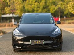Tesla Model Y Rear-Wheel Drive - ფოტო 2