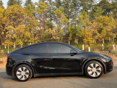 Tesla Model Y Rear-Wheel Drive - ფოტო 4