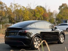 Tesla Model Y Rear-Wheel Drive - ფოტო 6
