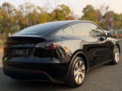 Tesla Model Y Rear-Wheel Drive - ფოტო 7